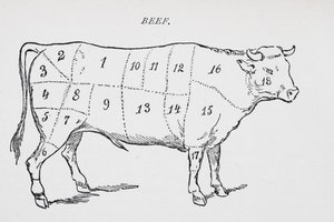 Dibujo de un buey marcado para mostrar dieciocho cortes diferentes de carne